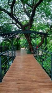 eine Holzbrücke mit einem Baum darauf in der Unterkunft HostelBed and Retreat Phitsanulok in Phitsanulok