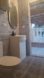 un bagno con un water, un lavandino e uno specchio di Maison typique avec vue dégagée sur la vallée a Fortuna