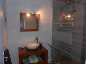a bathroom with a sink and a shower at CASE BEAOEL in Saint-Gilles les Bains