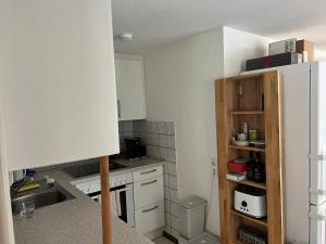 Kuchyň nebo kuchyňský kout v ubytování Bachrauschen im Dreisamtal + 3 fotografie