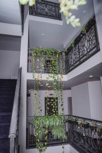 صورة لـ Hotel Aloha في نيشْ