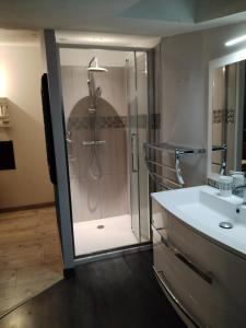 a bathroom with a shower and a sink at Maison avec jacuzzi 2ch 2sdb in Aubignan +15 photos