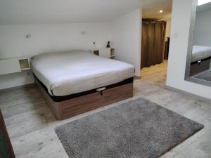 a bedroom with a bed and a mirror at Maison avec jacuzzi 2ch 2sdb in Aubignan