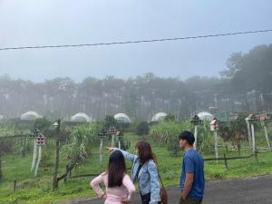 Hosté ubytování Vườn An Nhiên Camping