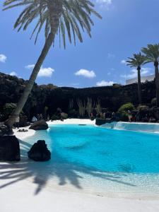 a large swimming pool with a palm tree on a beach at Casa del Sol B in Arrieta