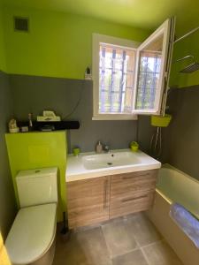 ein grünes Badezimmer mit einem Waschbecken und einer Badewanne in der Unterkunft Maison au calme piscine mer au coeur de la nature U Nuciolu in Talasani