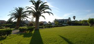 a green field with palm trees in a park at Alexandra On The Beach in (( Litherés )) +20 photos