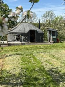 Κήπος έξω από το Dragon Orchard Retreat +12 φωτογραφίες