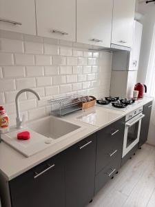 a kitchen with a sink and a stove at City Comfort Apartment in Bacău +5 photos