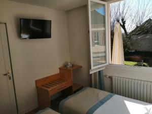 TV a/nebo společenská místnost v ubytování Hôtel Les Fleurs