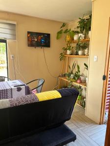 Μια τηλεόραση ή/και κέντρο ψυχαγωγίας στο Cabaña.lostanos