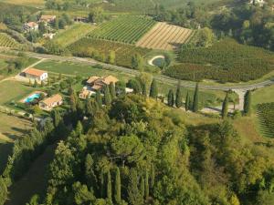 an aerial view of a house on a hill with trees at Relais Varnello in Brisighella