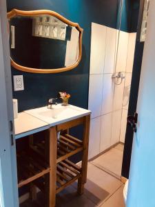 ein Badezimmer mit Waschbecken und Spiegel in der Unterkunft Casa con magnifica vista al Cerro Catedral in San Carlos de Bariloche + 10 Fotos