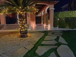 a palm tree with lights in a yard at night at Luxury Suite Quartu in Quartu SantʼElena