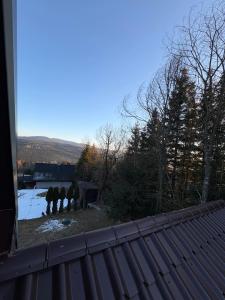 Príroda v okolí horskej chaty