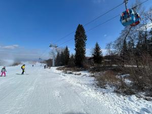 Σκι σε αυτό το διαμέρισμα ή εκεί κοντά
