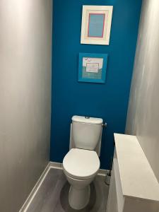 a bathroom with a toilet and a blue wall at Appartement T3 proche circuit du Mans in Allonnes +6 photos
