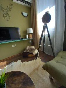 Sala de estar con TV y cámara en Top Top location Green apartment, en Bansko