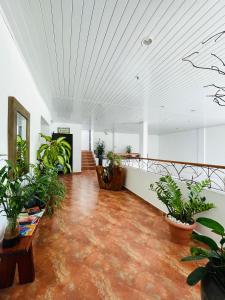 an empty room with potted plants in a building at Hotel Coronado Inn in Playa Coronado +17 photos