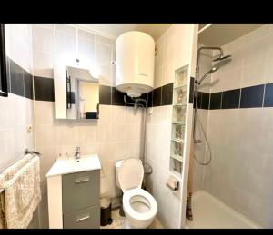 a bathroom with a toilet and a sink and a shower at joli studio cabine 4 personnes à 300 m de la plage in Argelès-sur-Mer +11 photos