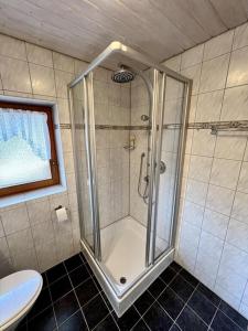 ein Badezimmer mit Dusche und Toilette in der Unterkunft Das Vogelnest in Rettenberg