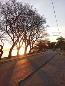 uma rua com árvores ao lado de uma estrada em Socaire, tu refugio en Chascomús em Chascomús