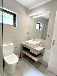 a bathroom with a sink and a toilet and a mirror at Beachfront Apartment in Varkiza in Vari +11 photos