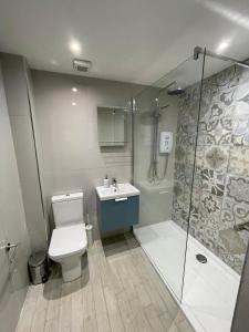 a bathroom with a shower and a toilet and a sink at Luxury By The Coast- sleeps 4 in Galway +5 photos