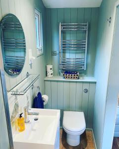 a bathroom with a white toilet and a sink at Little Pink Cabin in Church End