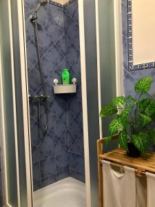 OhanesにあるAlojamiento Rural El Abuelo Pacoのバスルーム(青いタイル張りのシャワー付)