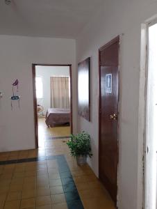 a hallway with a door and a potted plant at Habitación exclusiva para hombres LGBT in Mazatlán