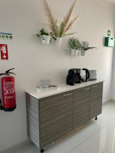 a counter with potted plants on a wall at Apartamento encantador a 100m da praia in Carvoeiro
