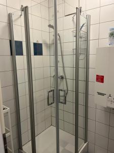a shower with glass doors in a bathroom at BM Rooms - Bamberger Gemütlichkeit in Bamberg