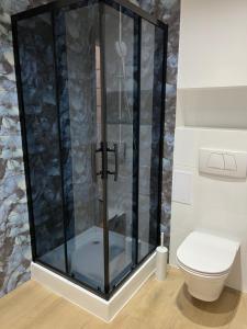 a glass shower in a bathroom with a toilet at City Center Szczytno I in Szczytno