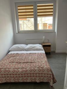 a bedroom with a bed and two windows at City Center Szczytno I in Szczytno