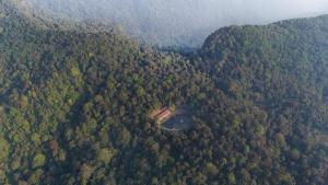 an aerial view of a forest with a lake in the middle at Jungle Park Resort-Rain Forest Experience by GreenEscapes in Vythiri