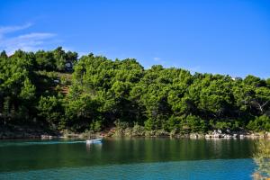 a boat on a river with trees in the background at Apartment Bazdaric in Novigrad Dalmatia
