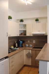 Kuchyň nebo kuchyňský kout v ubytování Jáchymov Blue Apartment