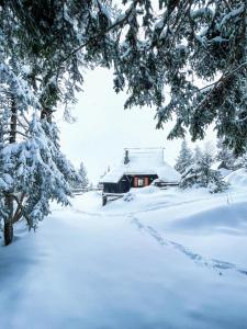 Velika planina - Chalet Stane - Alps om vinteren