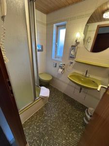 a bathroom with a sink and a toilet and a mirror at Parkhotel Rottweil in Rottweil