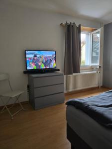- une chambre avec une télévision à écran plat sur une commode dans l'établissement Steinlisonne, à Möhlin
