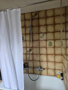 La salle de bains est pourvue d'une douche avec rideau de douche. dans l'établissement Steinlisonne, à Möhlin