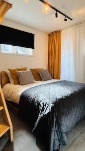 a bedroom with a large bed in front of a window at Les Chartriers D&G in Mons