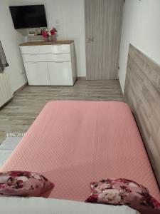 TV a/nebo společenská místnost v ubytování Apartman Nino