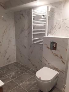モルパにあるstudio vu le jardinの白いトイレと大理石の壁が備わるバスルーム