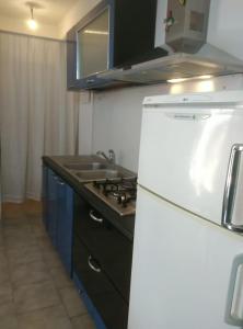 Kuchyň nebo kuchyňský kout v ubytování Villa Elena