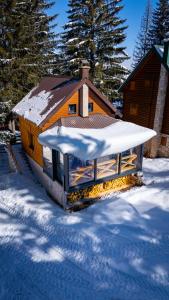 a house with snow on the roof in the snow at Black Lake Chalet-300m from Black Lake,Durmitor in Žabljak