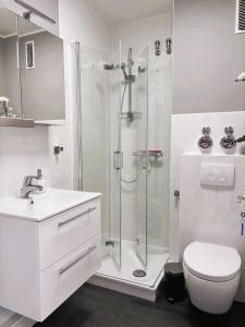 a bathroom with a shower and a toilet and a sink at MeerZeit in Dahme +25 photos