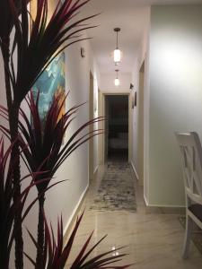Fotografie z fotogalerie ubytování Casa De Madinaty -مدينتي v destinaci Madinaty