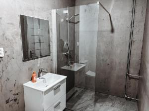 a bathroom with a sink and a shower at Cozy B&B Home in Banská Bystrica